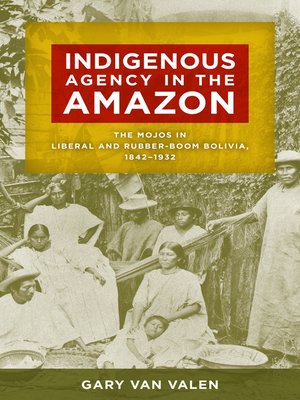 cover image of Indigenous Agency in the Amazon